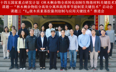 林木剩余物全质转化创制生物基材料关键技术研发项目启动，助力绿色低碳产业链升级