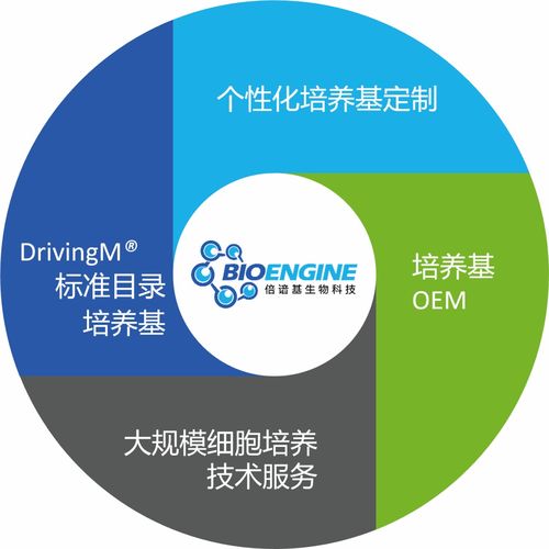 三十年匠心打造细胞培养新动力 写意会员倍谙基生物的生物基材料技术研发