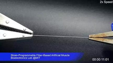 MIT研发“人造肌肉纤维” 生物基材料技术助推西部世界式超高仿真机器人成为现实