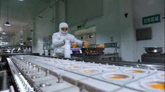 果秀食品 以生物基材料技术研发为引擎，开启创新转型新征程，再铸“新果秀”辉煌