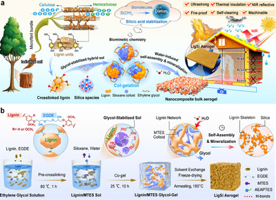 王清文教授团队在木质素基功能材料领域取得新进展，推动生物基材料技术研发迈向新高度